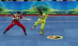 武术表演视频,武术表演视频中的精彩瞬间回顾